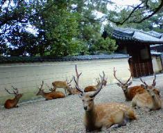 癒しの空間が