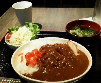 相変わらず塩辛いカレー