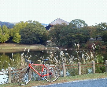 今日は暑かった・・・